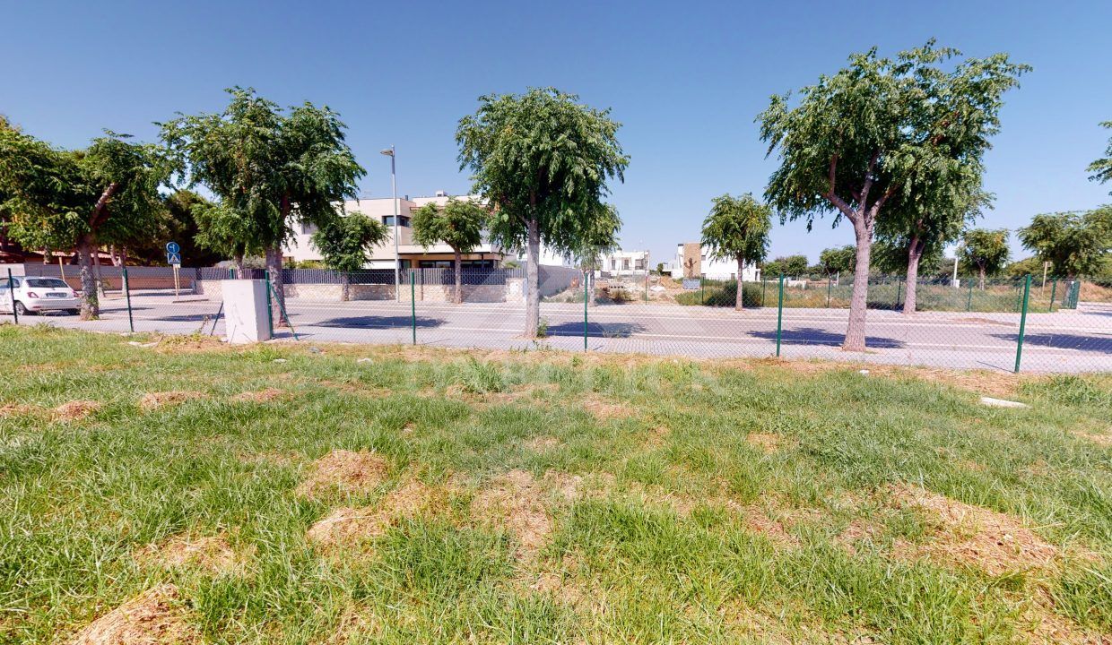 Arnau-06252020_183858