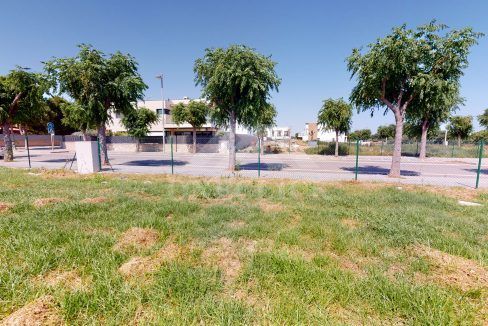 Arnau-06252020_183858