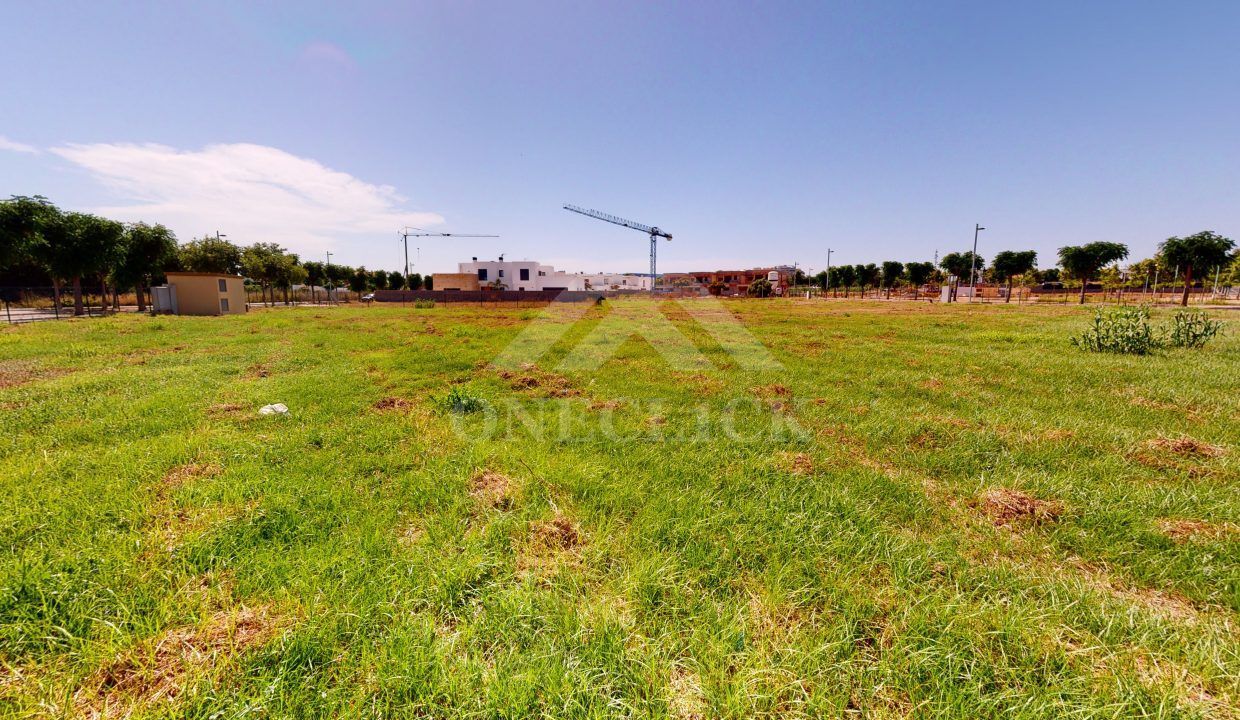 Arnau-06252020_184002