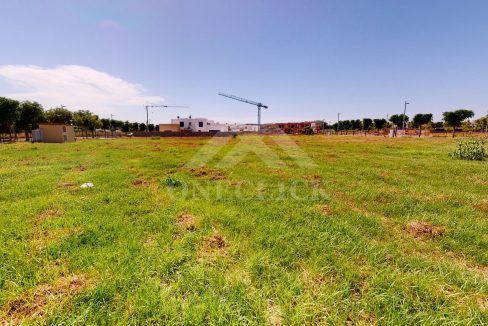 Arnau-06252020_184002