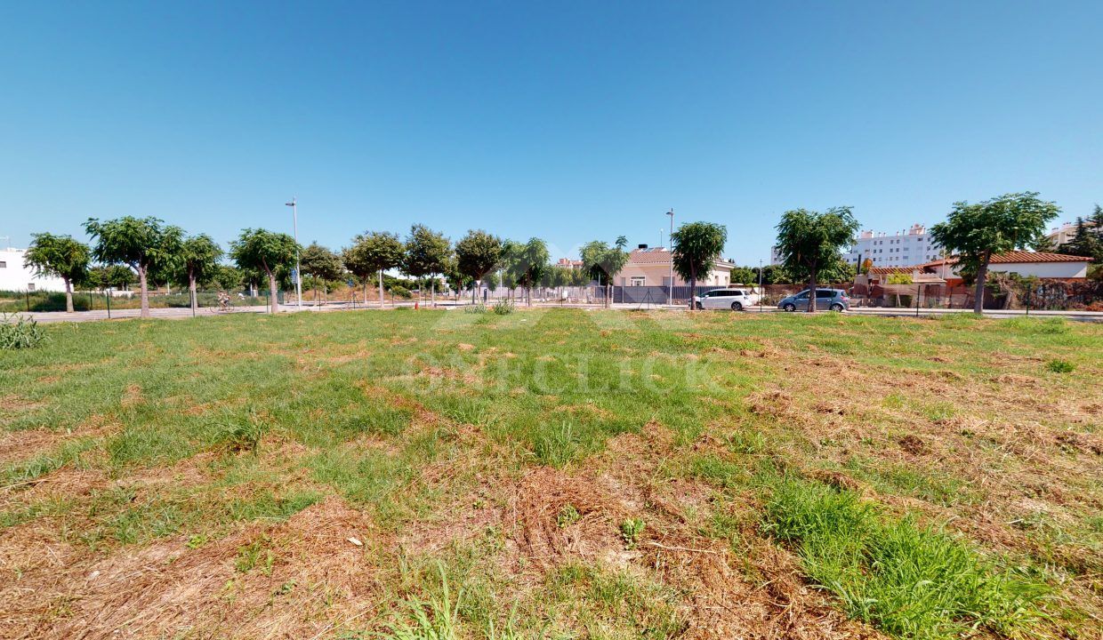 Arnau-06252020_185011