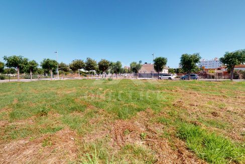 Arnau-06252020_185011