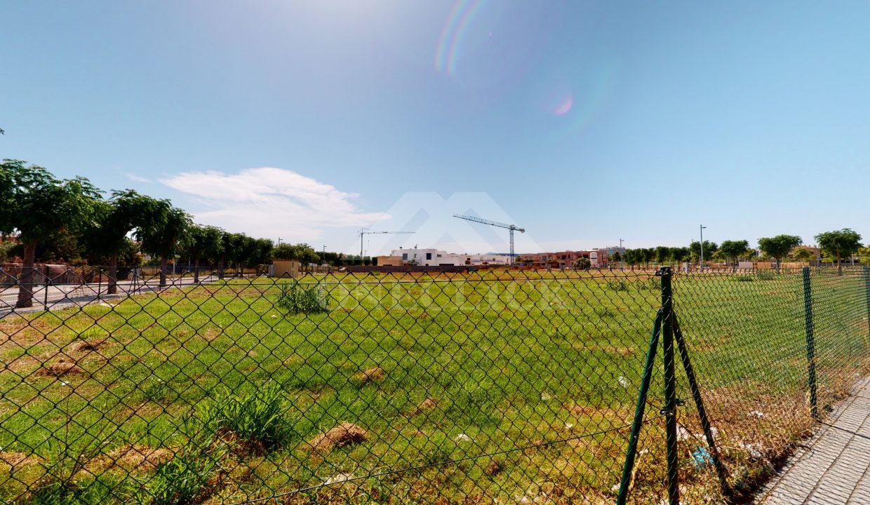 Arnau-06252020_185107