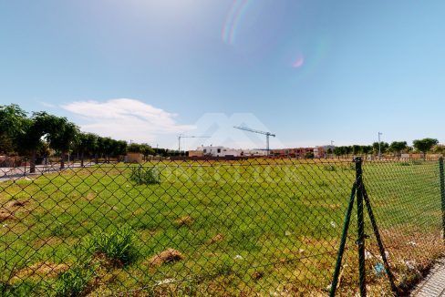 Arnau-06252020_185107