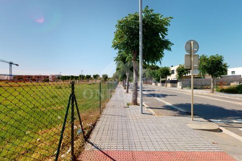 Arnau-06252020_185122