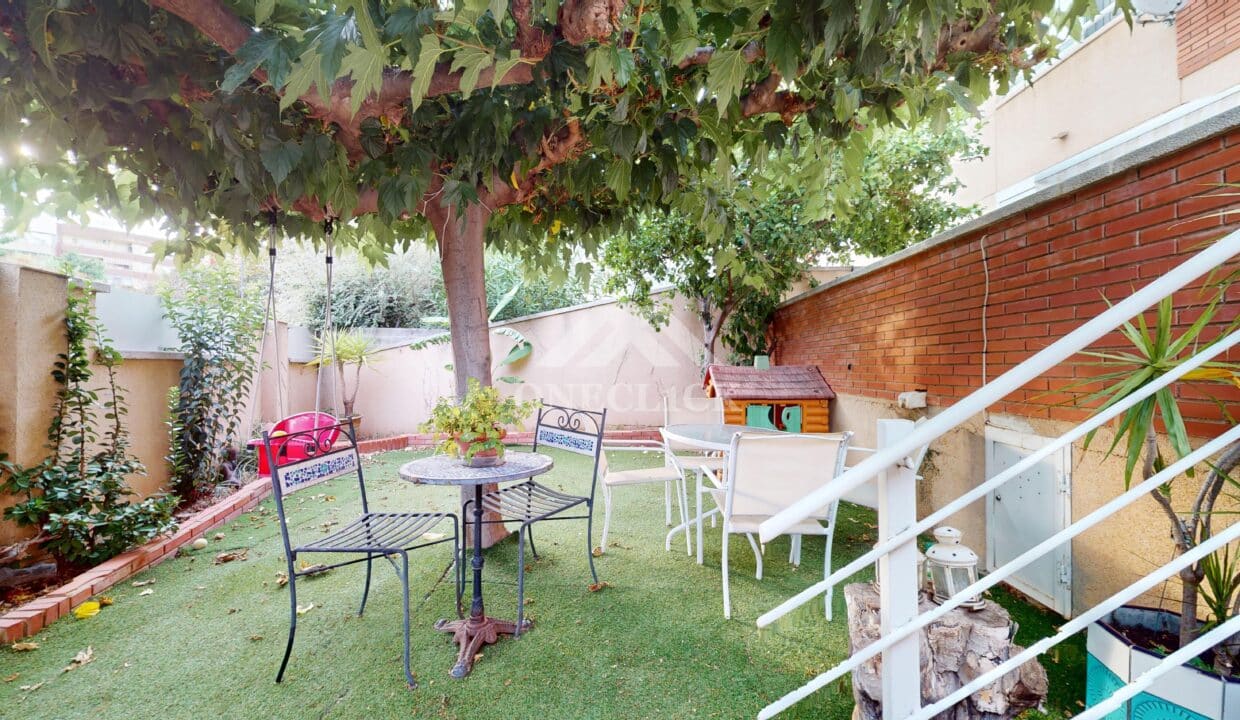 Illa-De-Buda-08082024_132944