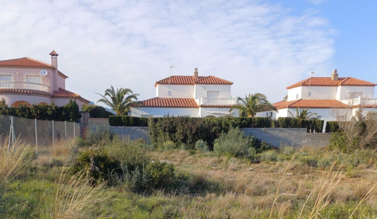 C1